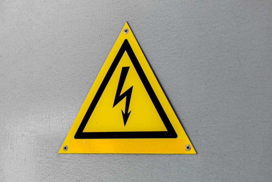 Overhead Power Lines and Tree Work: The Hidden Risk Nobody Talks About
