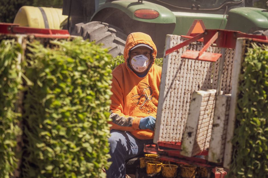 Why Your Farm's Risk Assessment Just Got More Important: What's New in the HSA's Updated Code of Practice